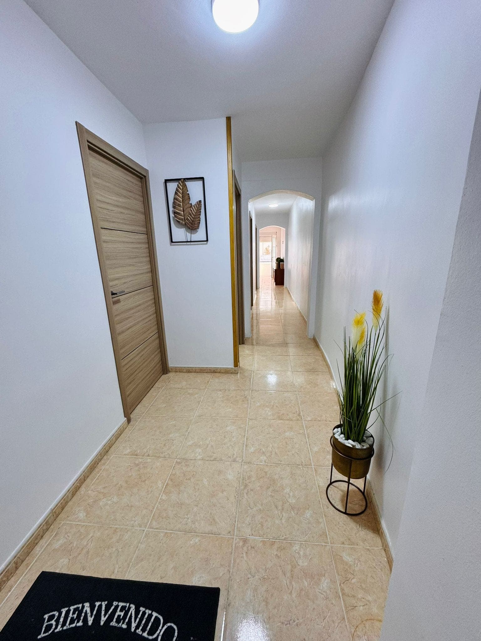 NOVEDAD EN SAN ANTONIO ESTUPENDA PRIMERA PLANTA IDEAL PARA INVERSORES