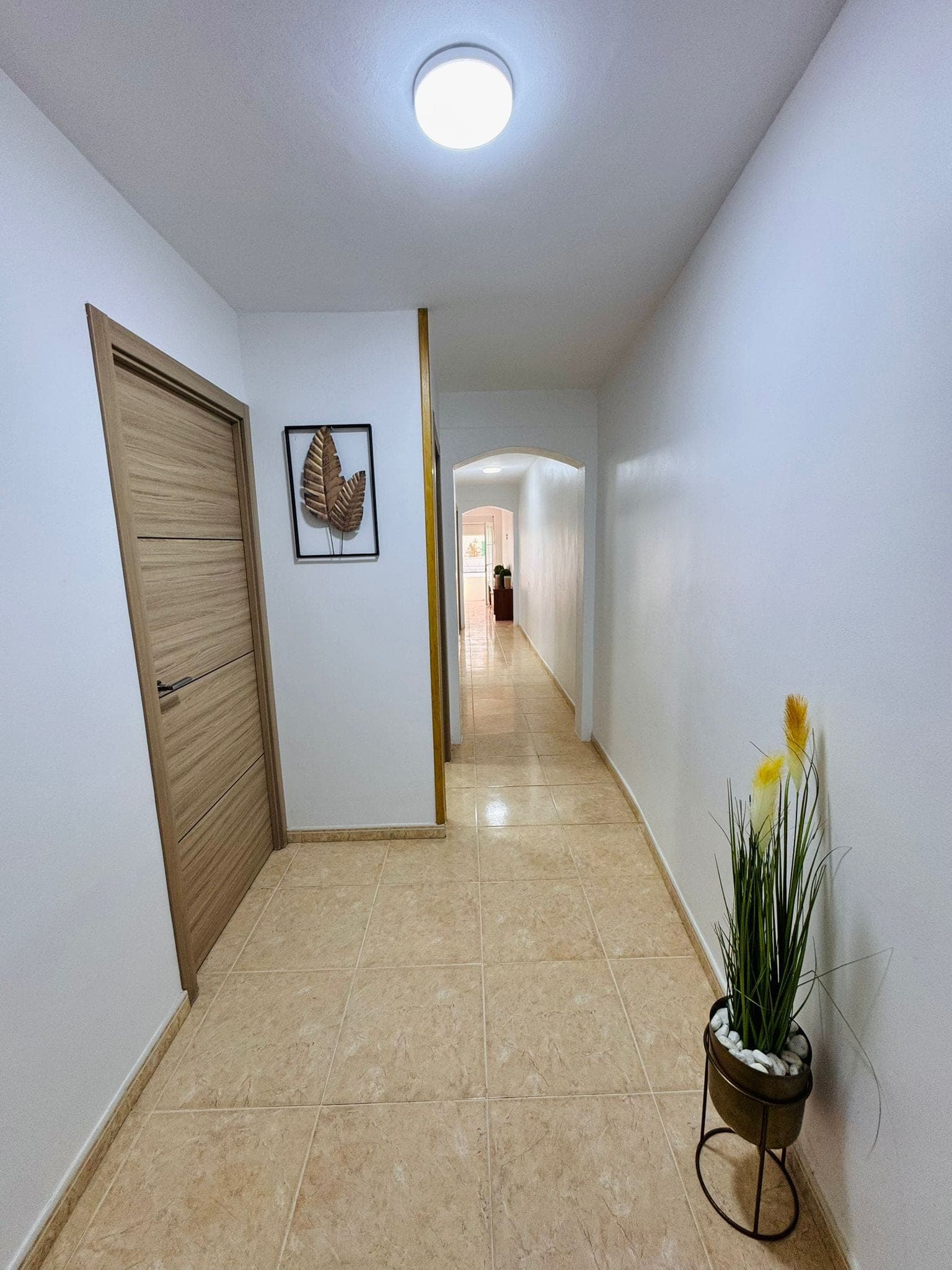 NOVEDAD EN SAN ANTONIO ESTUPENDA PRIMERA PLANTA IDEAL PARA INVERSORES